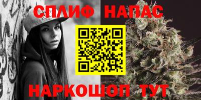 ешки Можга